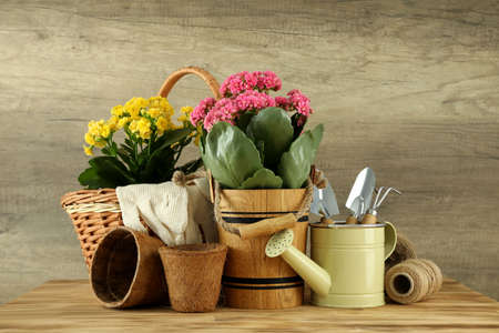 Accessories and tools for gardening on wooden tableの写真素材