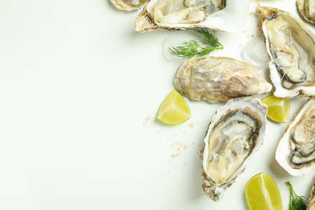 Concept of seafood, oysters, space for textの写真素材