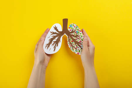 World lung day or lung healthy concept on yellow backgroundの写真素材