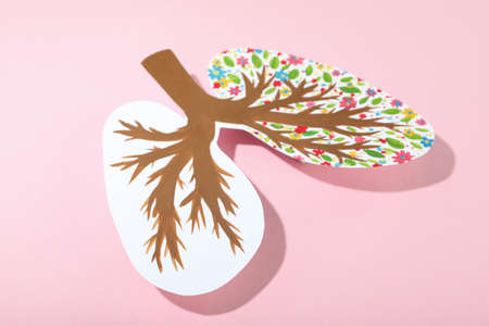 World lung day or lung healthy concept on pink backgroundの写真素材
