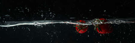 Concept of fresh summer fruits, fruits in waterの写真素材