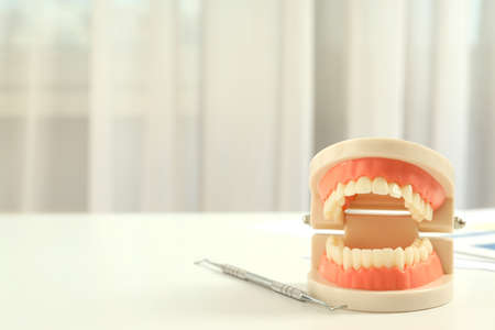 Concept of dental care, space for text