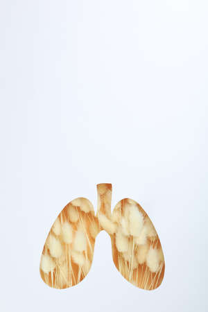 World lung day or lung healthy concept on white background