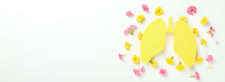 Concept of allergy, flowers and decorative lungsの写真素材