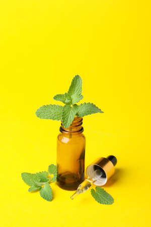 Concept of aromatherapy with mint, space for textの写真素材