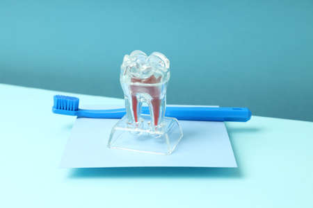 Concept of dental care or tooth care on two tone background
