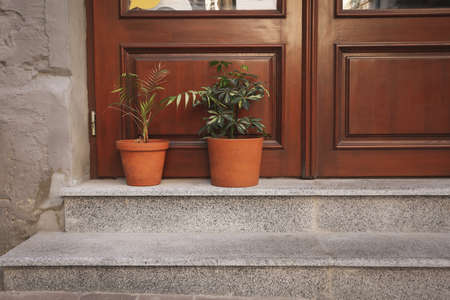Pots with plants near wooden doors outdoorの写真素材