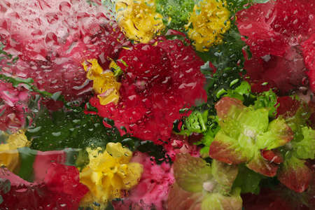 Wet glass background with flowers in the backgroundの写真素材