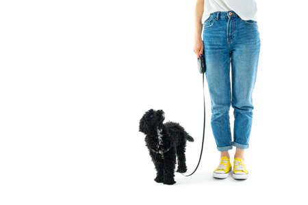 Concept of home pet, woman with black toy poodle isolated on white backgroundの写真素材