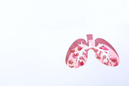 Concept of World lung day, lung problems and treatmentの写真素材