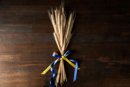 Spikelets with Ukrainian flag colors ribbons on wooden background