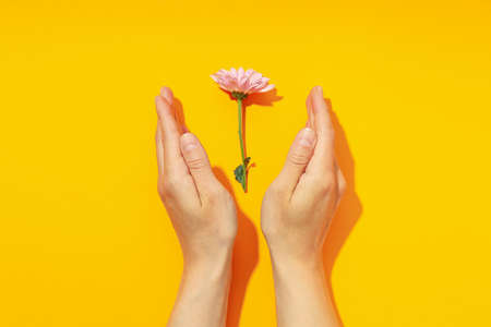 Concept of Save the world and Recyclingの写真素材