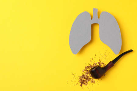 Lungs, smoking pipe and tobacco on yellow background, space for textの写真素材