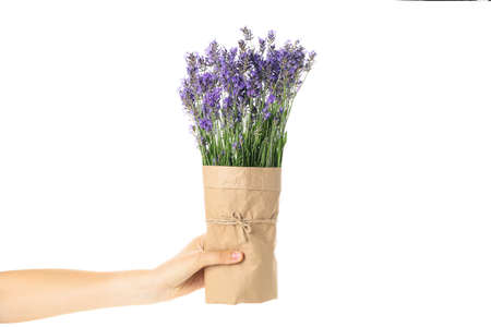 Female hand holds lavender in craft paper, isolated on white backgroundの写真素材