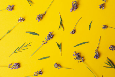 Lavender flowers on yellow background, top viewの写真素材