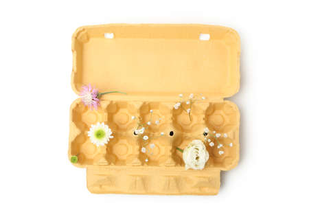 Open egg box with flowers isolated on white background
