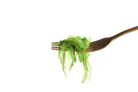 Spoon with Chuka isolated on white background
