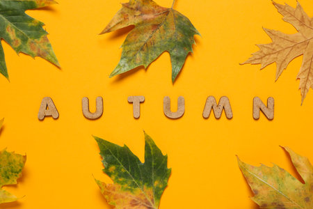 Word Autumn and leaves on orange backgroundの写真素材