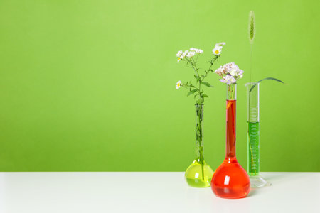 Concept of biology research, space for textの写真素材