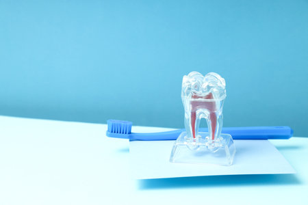 Concept of dental care, space for textの写真素材