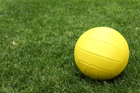 Blank yellow volleyball ball on green grassの写真素材