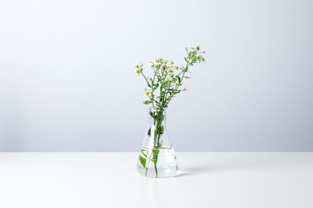 Concept of biology and chemistry research with flowers