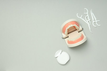Concept of tooth treatment and dental care, space for text