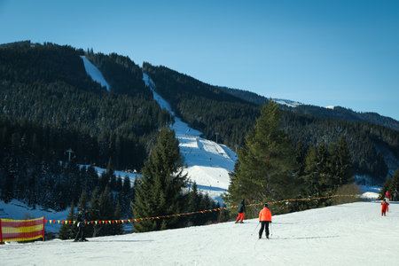 Concept of winter activities, ski and snowboardの写真素材