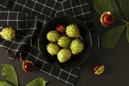 Fresh and ripe chestnuts, top view, Autumn chestnutsの写真素材