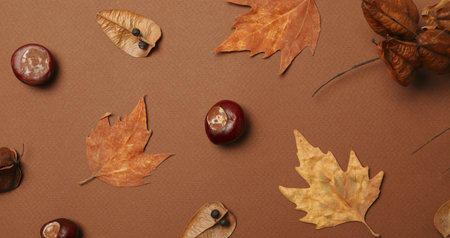 Fresh and ripe chestnuts, top view, Autumn chestnutsの写真素材