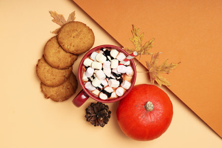 Concept of sweet drink, tasty cocoa drink with marshmallow, top viewの写真素材