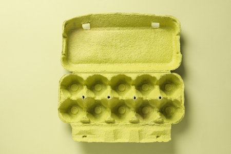 Empty egg box on green background, top view