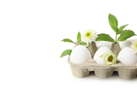 Egg box with eggs and flowers isolated on white backgroundの写真素材