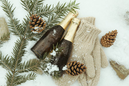 Christmas composition with blank champagne bottles outdoorの写真素材