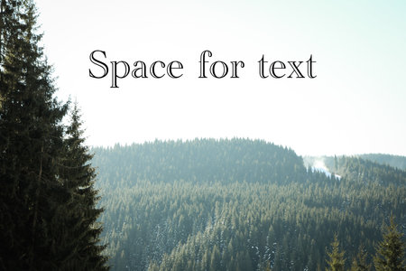 Photo of view on Carpathian mountains, space for text