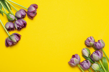 Concept of 8 march, Women day, space for textの写真素材