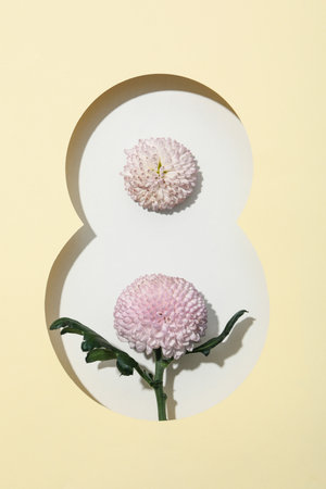 Concept of 8 march, Women day, top view