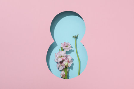 Concept of 8 march, Women day, top view