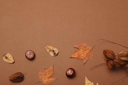 Fresh and ripe chestnuts, space for textの写真素材