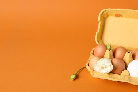 Concept of spring, eggs with flowers, space for textの写真素材