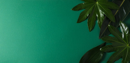 Concept of summertime, leaves, summer and nature concept