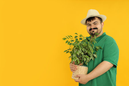 Concept of people, young fat man with plant on yellow backgroundの写真素材