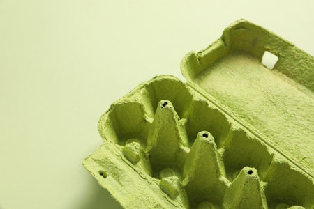 Empty box for eggs on green background
