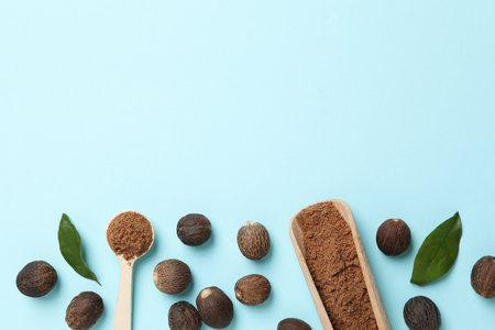 Concept of spices and condiments, nutmegs, space for text