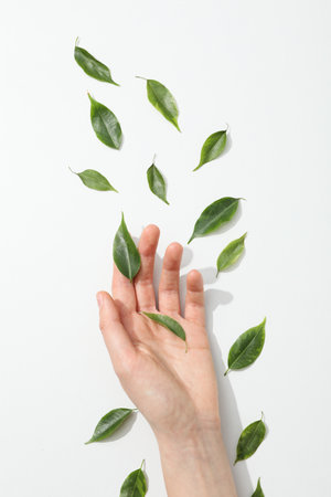 Concept of summertime, leaves, summer and nature conceptの写真素材