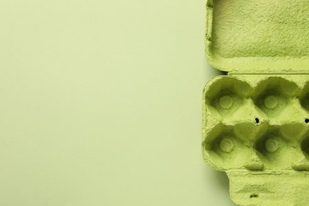Empty box for eggs on green background