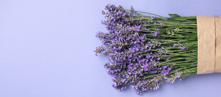 Concept of cozy with flowers, lavender flowers, space for text
