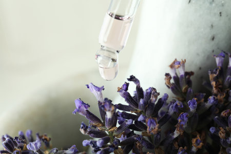 Body care and skin care cosmetic - lavender oilの写真素材
