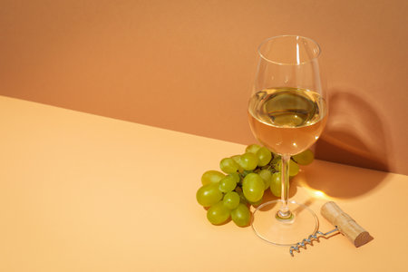 Concept of delicious alcohol drink, tasty wineの写真素材