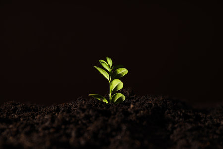 Earth Day, Environment concept and Eco conceptの写真素材